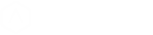 Raise3D